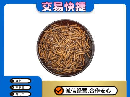 山南高价回收散虫草